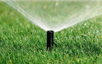 TURNI DI INNAFFIAMENTO DEI GIARDINI