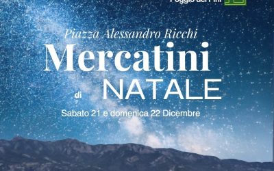 Mercatino di Natale & Brindisi Natalizio 2024 – Prenotazioni Aperte per Espositori
