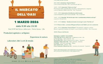 Il Mercato dell’Oasi a Monte Arcosu