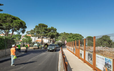 STIAMO RISANANDO LE STRADE