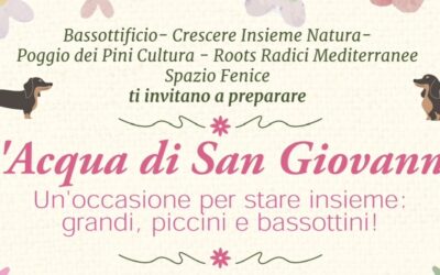 Evento al PalaPoggio – L’acqua di San Giovanni